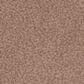 Phenix Canvas I Carpet in Clay, , large