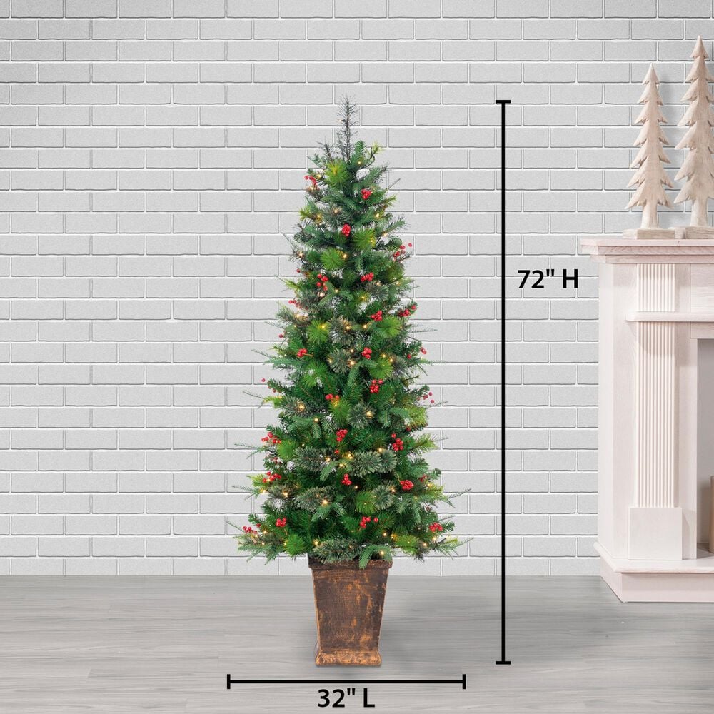 The Gerson Company 6&#39; Potted Pre-Lit Hard Needle Douglas Pine with White LED in Green, , large