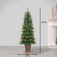 The Gerson Company 6" Potted Pre-Lit Hard Needle Douglas Pine with White LED in Green, , large