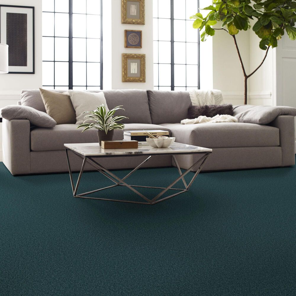 Shaw Comforting II Carpet in Tailwind, , large