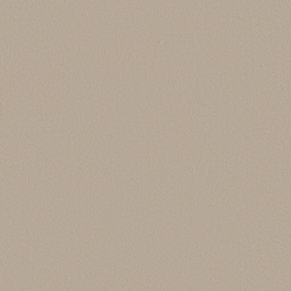 Anderson Tuftex Finery Carpet in Shoreline, , large