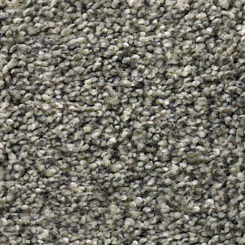 Anderson Tuftex The Bark Side II Carpet in Leeds, , large