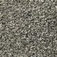 Anderson Tuftex The Bark Side II Carpet in Leeds, , large