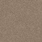 Dixie Home Herder Carpet in Shar-Pei, , large