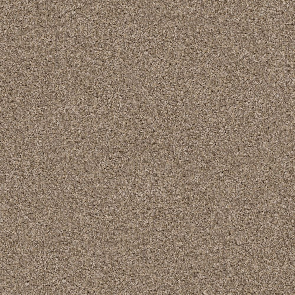 Dixie Home Herder Carpet in Shar-Pei, , large