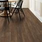 Shaw Endura Plus Modern Classic 7" x 48" Luxury Vinyl Plank, , large