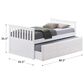Furniture of America Clemens Twin Storage Bed with Trundle in White, , large