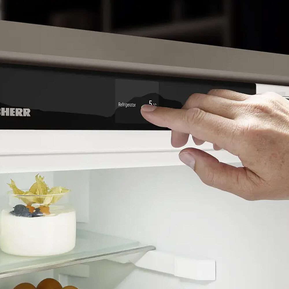 Liebherr 2.5 Cu. Ft. Undercounter Freezer with NoFrost in Panel Ready, , large