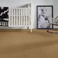 Anderson Tuftex New Tricks Carpet in Golden Straw, , large