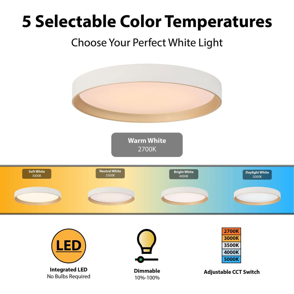 Vaxcel Darien 1-Light Flush Mount in White and Gold, , large