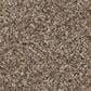 Shaw Grand Outlook Carpet in Hearth Stone, , large