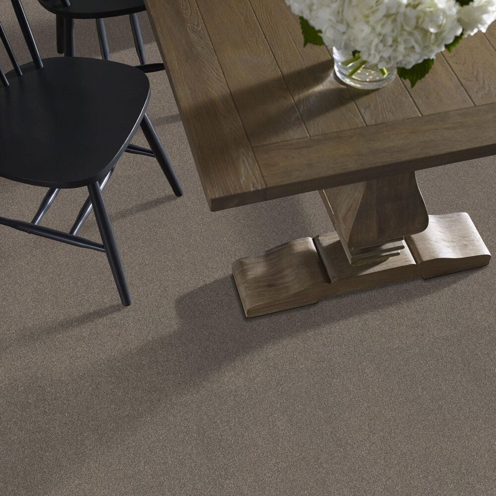 Shaw New Memories T Carpet in Hideaway, , large
