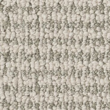 Anderson Tuftex Laine Carpet in Fresh Picked, , large