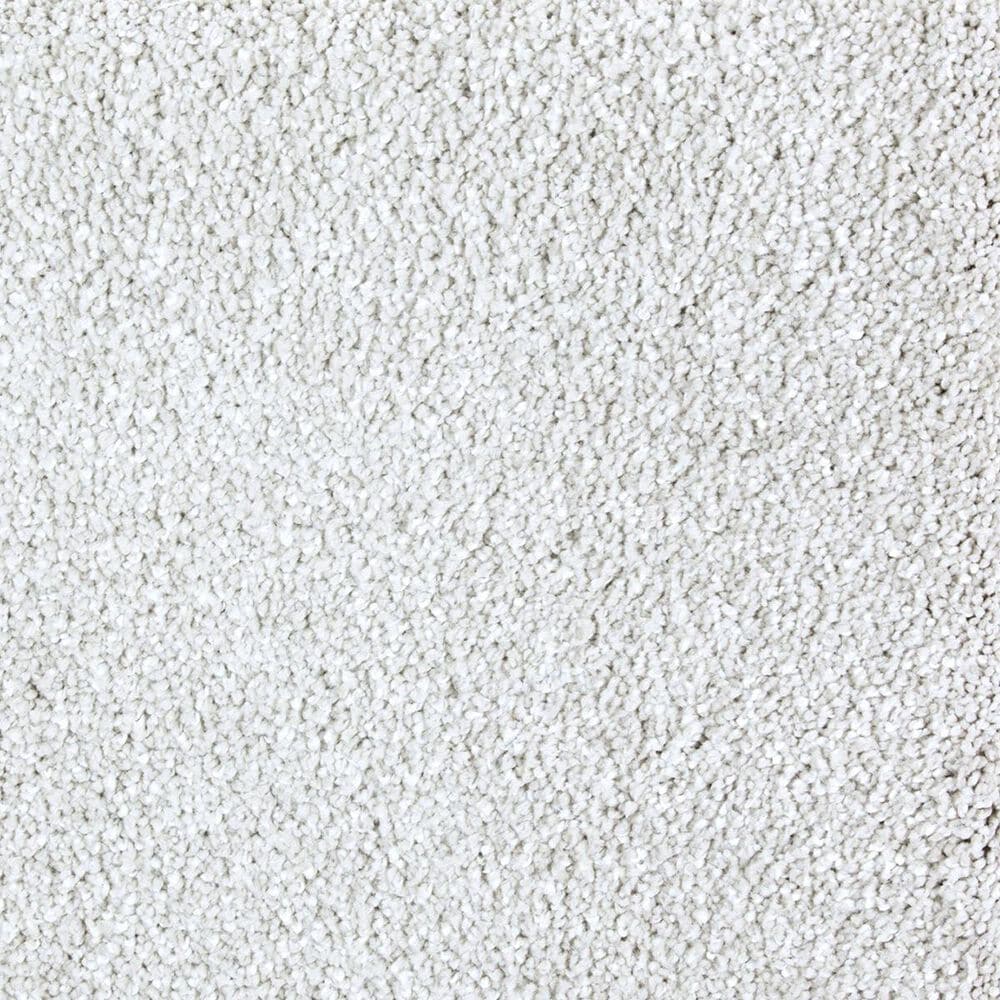 Mohawk Superior Taste Carpet in Homage, , large