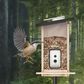 Birdfy Bird Feeder Ebony with Smart Camera and Solar Panel in Brown and Black, , large