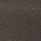 Mohawk Quality Life Carpet in Nocturne, , large