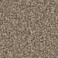 Shaw Imaginable I Carpet in Clay, , large