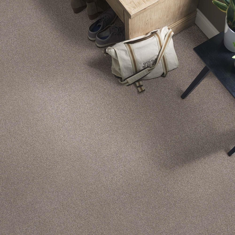 Anderson Tuftex Caress Cozy Harbor I Carpet in Stucco, , large