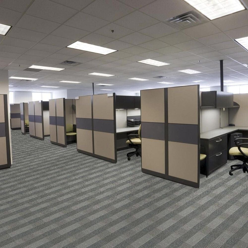 Shaw Square Deal Carpet in Trustworthy, , large