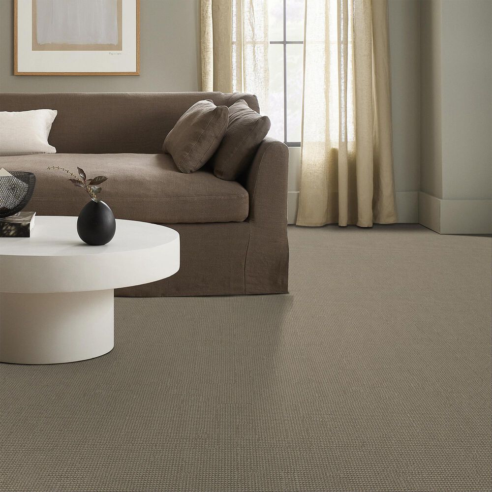 Anderson Tuftex Inspired Carpet in Clay, , large