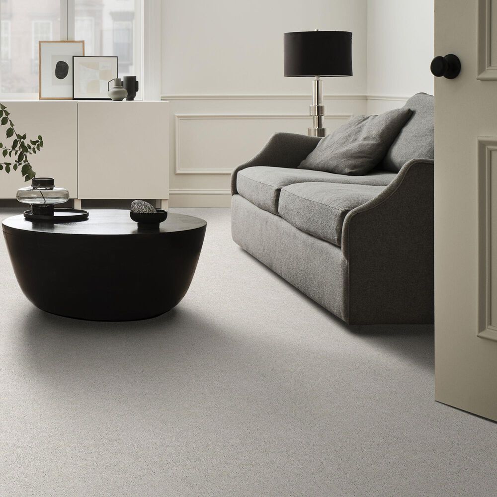 Shaw Simply the Best Cabana Life Solid Carpet in Ice, , large