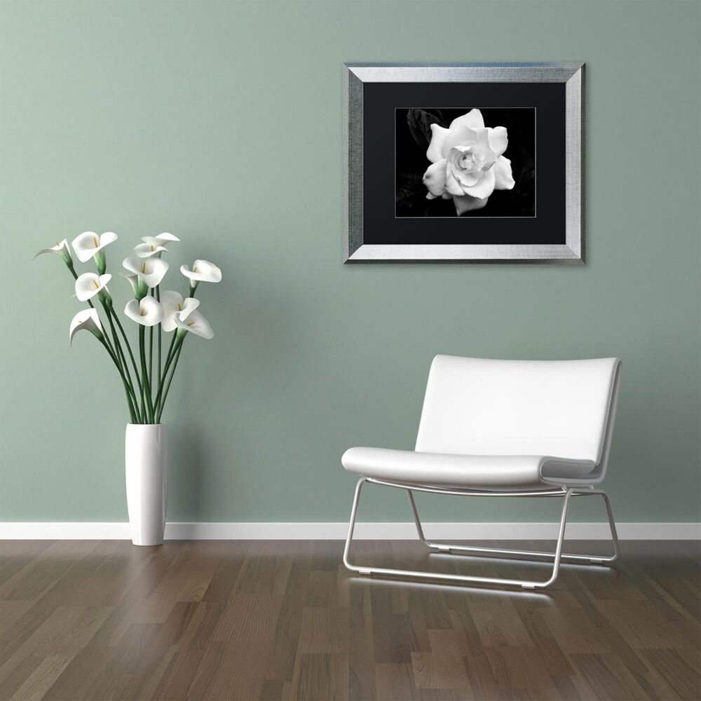 Timberlake 16&quot; x 20&quot; Gardenia in Black and White Art in Black Matting and Silver Frame, , large