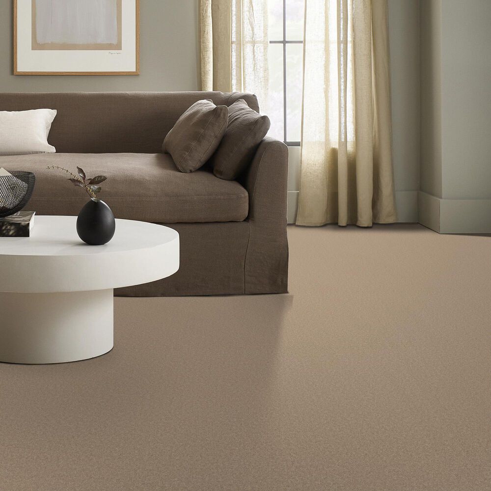 Anderson Tuftex Enduring Charm Carpet in Brulee, , large