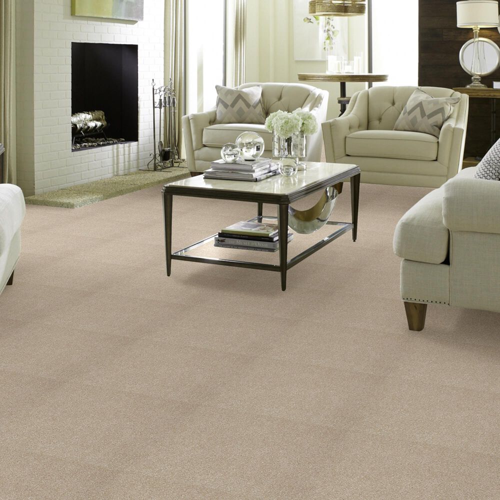 Shaw Foundations Take The Floor Texture Blue Carpet in Hickory, , large