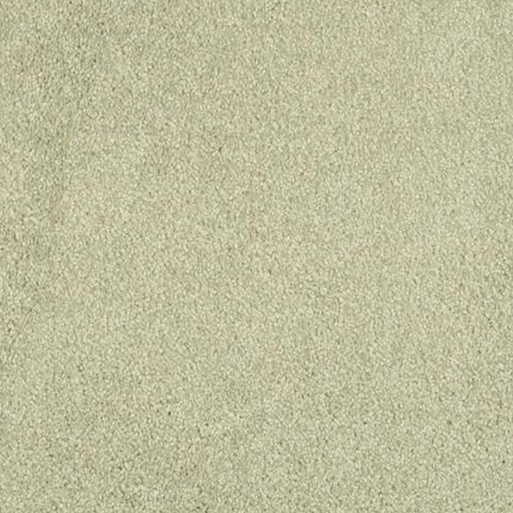 Masland Miami Carpet in Glade, , large