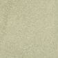 Masland Miami Carpet in Glade, , large
