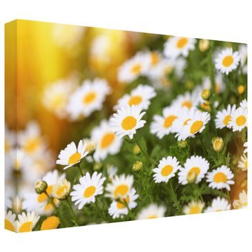 Timberlake Beata Czyzowska "Sunny Days" 16" x 24" Canvas Art in Green/White/Yellow/Tan, , large