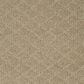 Dixie Home Culture Carpet in Enduring, , large