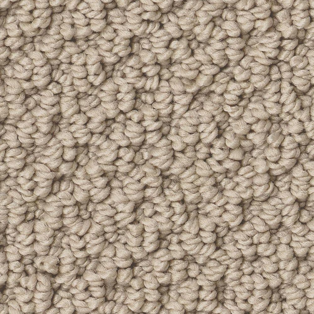 Anderson Tuftex Gracious Carpet in Barista, , large