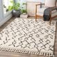 Surya Berber Shag BBE2301 6"7" x 9" Charcoal and Beige Area Rug, , large
