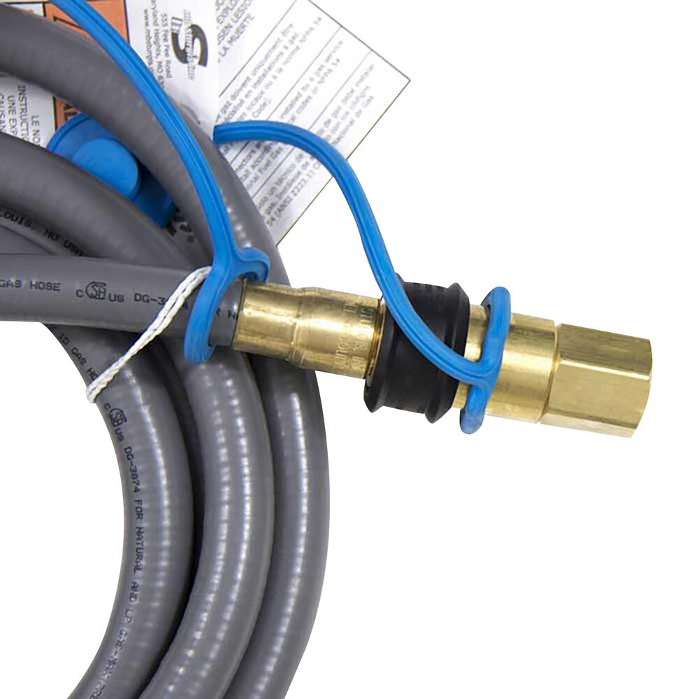 Blaze Natural Gas Hose with Quick Disconnect in Stainless Steel, , large