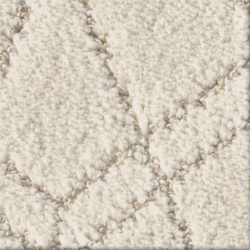 Shaw Point of View Carpet in Natural, , large