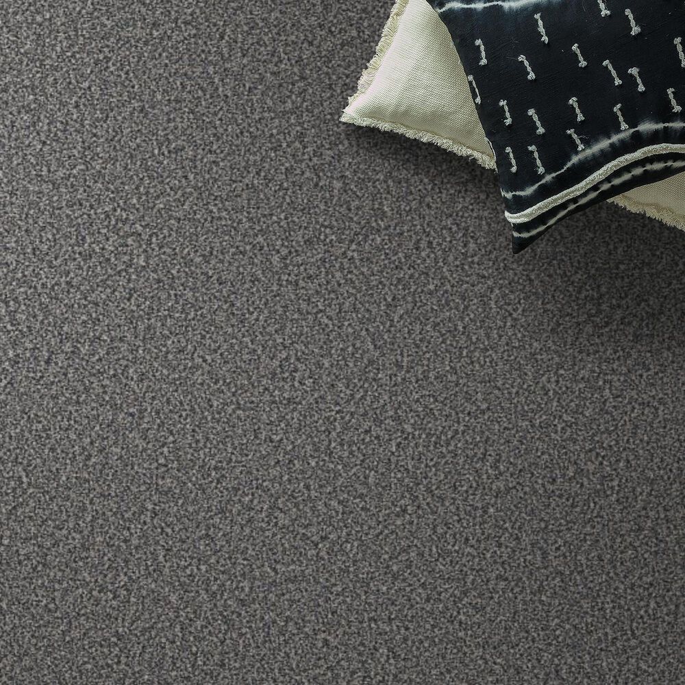 Shaw Tweed Comfort I Carpet in Carolina, , large