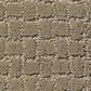 Anderson Tuftex Pawstruck Carpet in Driftwood, , large