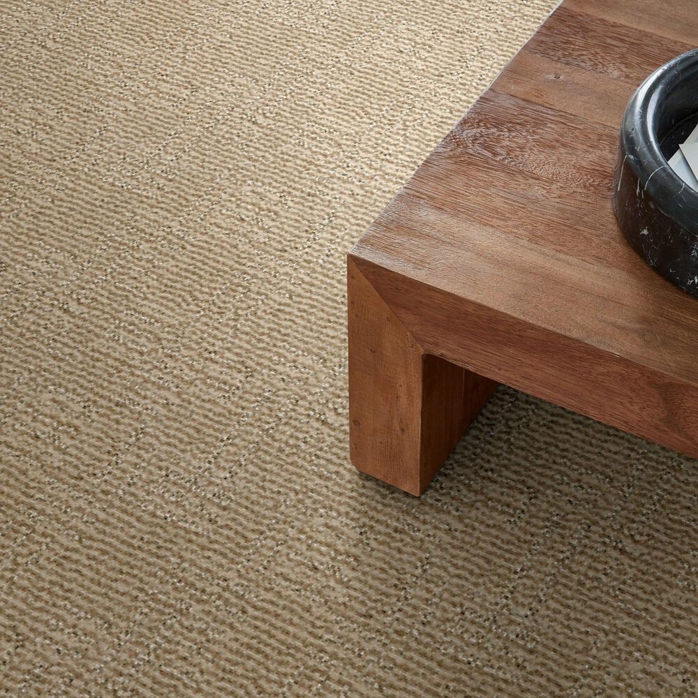 Anderson Tuftex Diego Carpet in Antique, , large