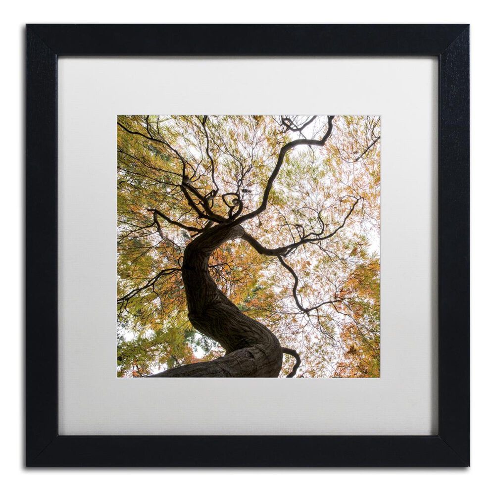 Timberlake 16" x 16" Under a Japanese Maple 2 Art in White Matting and Black Frame, , large