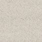 Anderson Tuftex Barracan Classic IV Carpet in Heirloom, , large