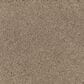 Mohawk Windsor Gardens II Carpet in Urban Taupe, , large