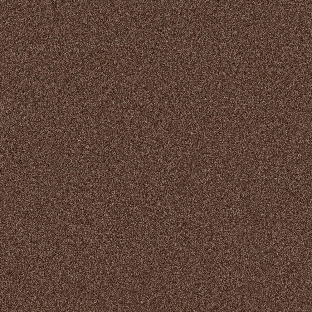 Shaw Tonal Comfort Ii Carpet in Chili, , large