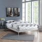 Modway Elsie Queen Platform Bed Frame in Gray, , large
