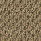 Anderson Tuftex Gracious Carpet in Warmth, , large
