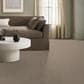 Anderson Tuftex Bossa Nova Carpet in Cascade, , large