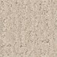 Shaw Endless Memories Carpet in Happy Place, , large