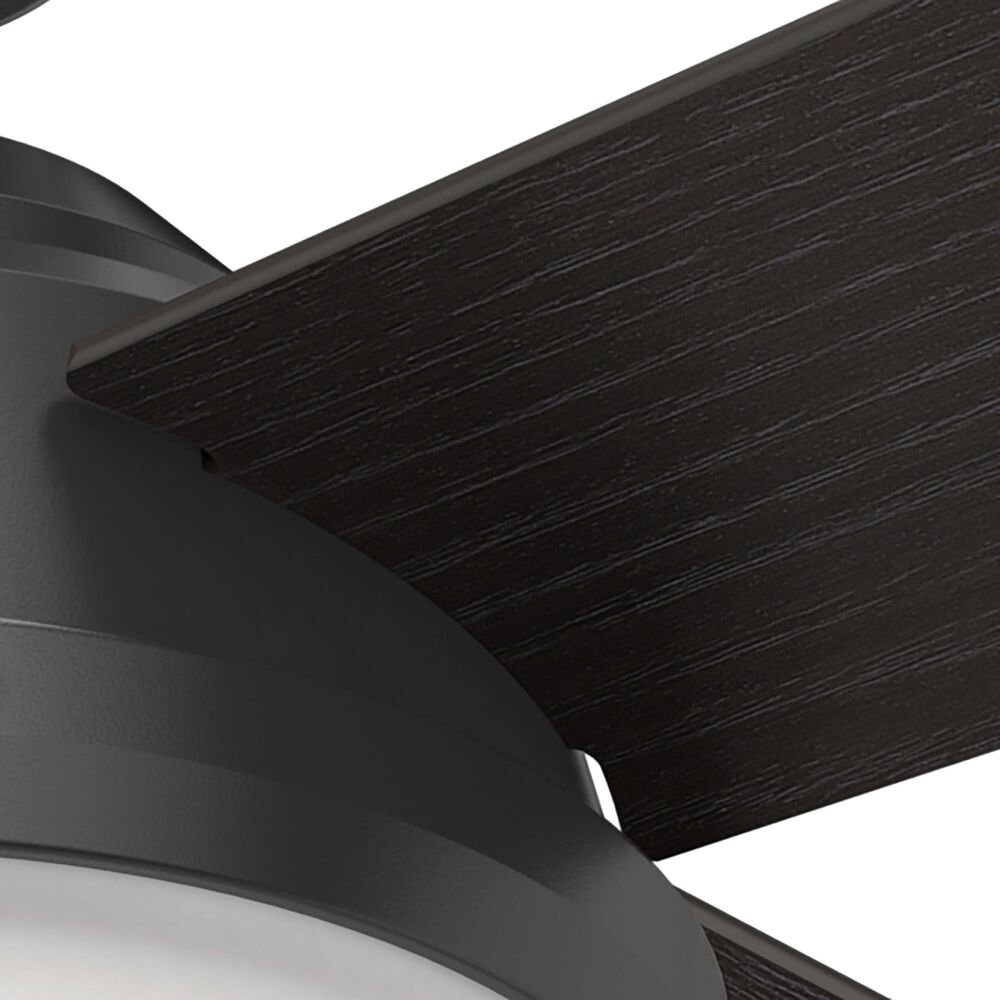 Hunter Dempsey 52" Outdoor Ceiling Fan with Lights in Matte Black
