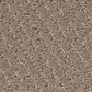 Shaw Simply Classic Carpet in Cameo, , large