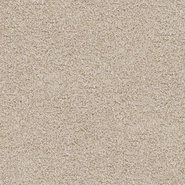 Dixie Home Guard Carpet in Bichon Frise, , large